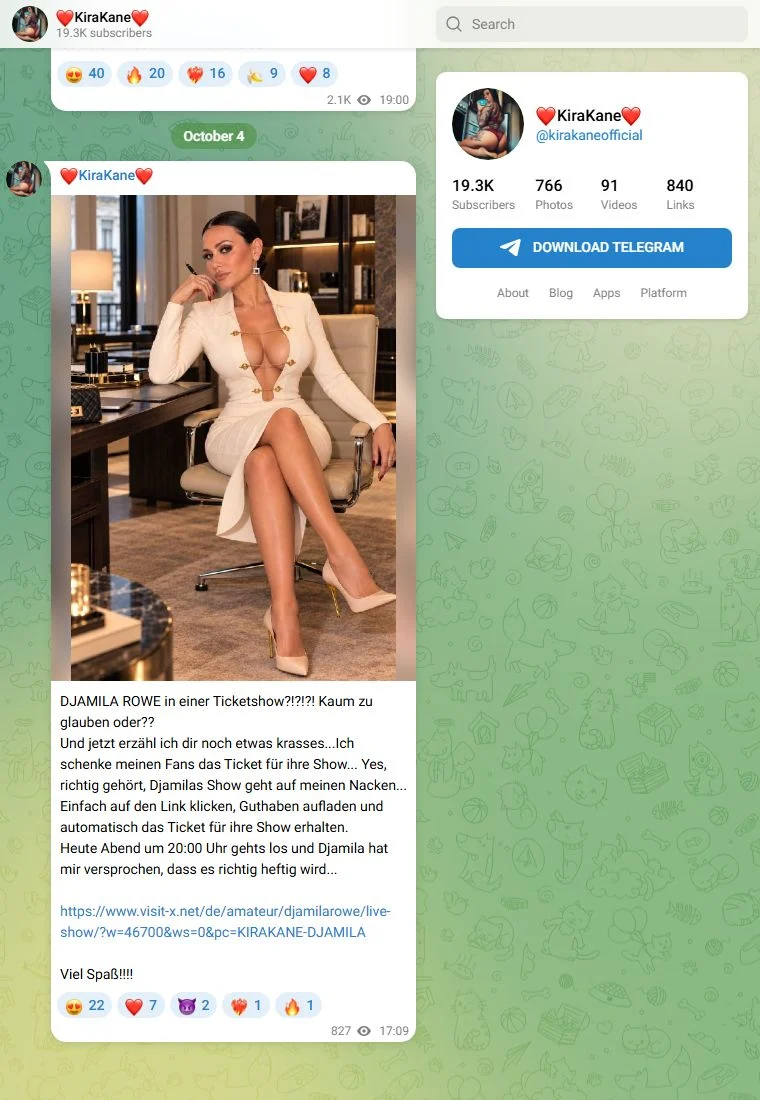 Vorschau des Telegram-Kanals Kira Kane