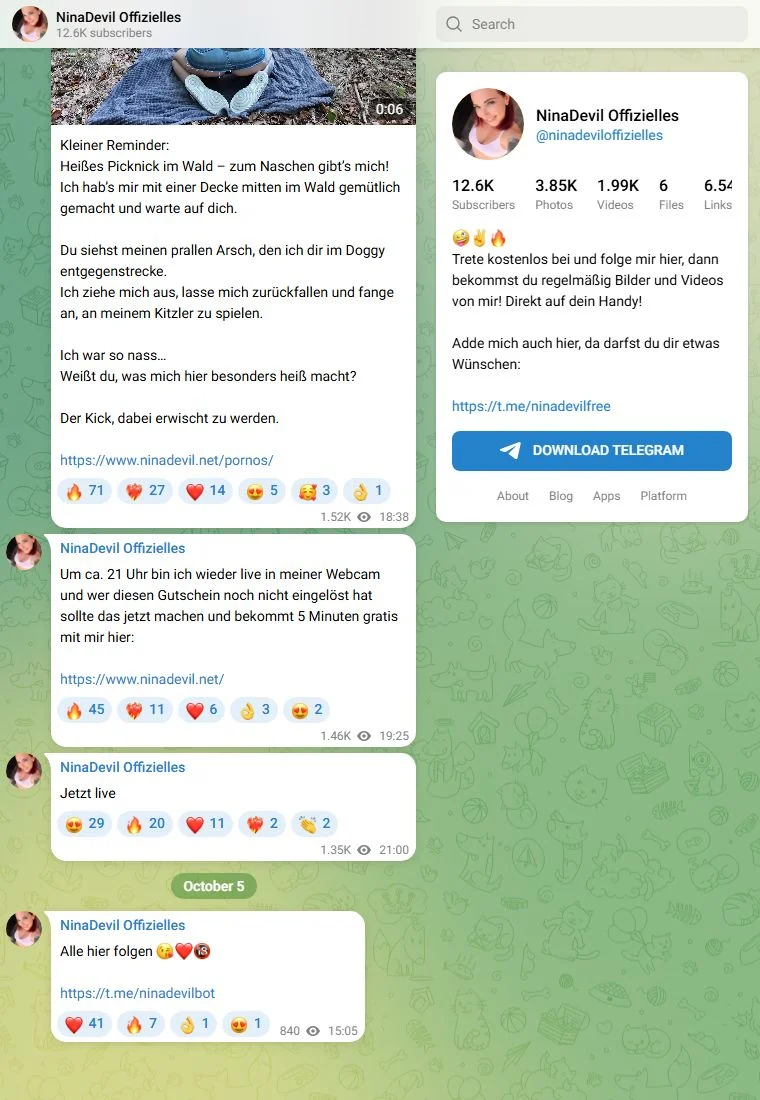 Vorschau des Telegram-Kanals NinaDevil